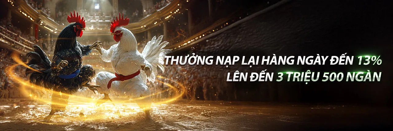 Hình ảnh banner tin tức 23vin