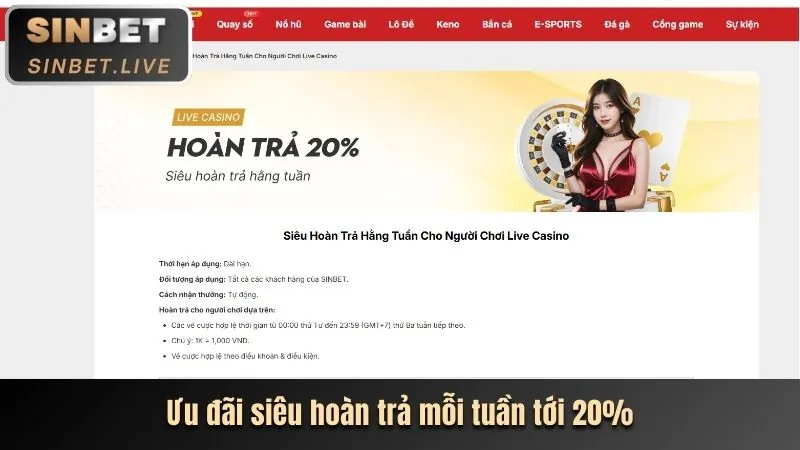 Hình ảnh tiền hoàn trả hàng ngày cho cá cược thể thao tại tải 23vin